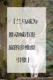 兰马成为推动城市发展的多维度引擎