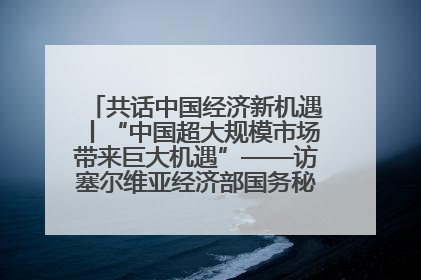 共话中国经济新机遇丨“中国超大规模市场带来巨大机遇”——访塞尔维亚经济部国务秘书尼科利奇