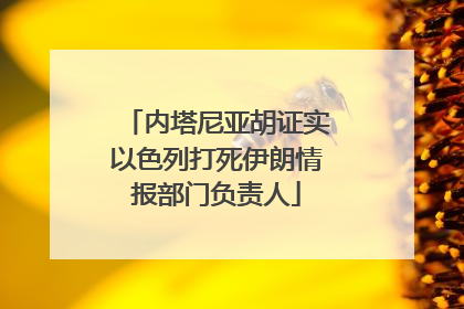 内塔尼亚胡证实以色列打死伊朗情报部门负责人