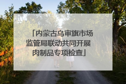 内蒙古乌审旗市场监管局联动共同开展肉制品专项检查