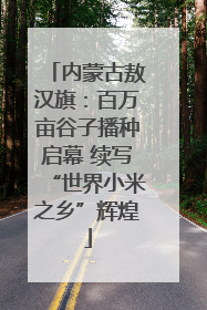 内蒙古敖汉旗：百万亩谷子播种启幕 续写“世界小米之乡”辉煌
