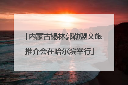 内蒙古锡林郭勒盟文旅推介会在哈尔滨举行