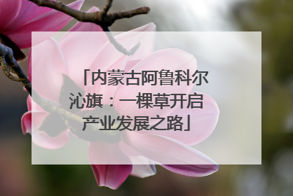 内蒙古阿鲁科尔沁旗：一棵草开启产业发展之路