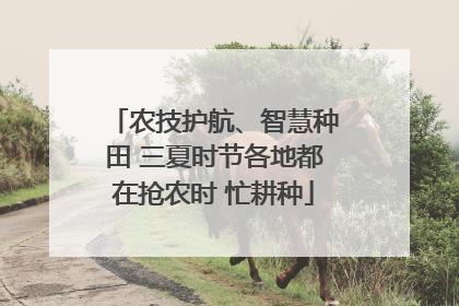 农技护航、智慧种田 三夏时节各地都在抢农时 忙耕种