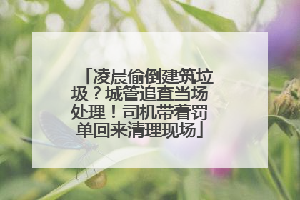 凌晨偷倒建筑垃圾？城管追查当场处理！司机带着罚单回来清理现场