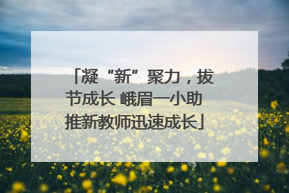 凝“新”聚力，拔节成长 峨眉一小助推新教师迅速成长