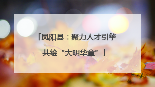 凤阳县：聚力人才引擎 共绘“大明华章”