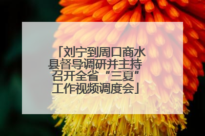 刘宁到周口商水县督导调研并主持召开全省“三夏”工作视频调度会