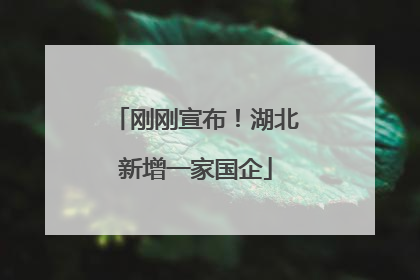 刚刚宣布！湖北新增一家国企