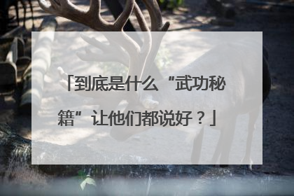 到底是什么“武功秘籍”让他们都说好？