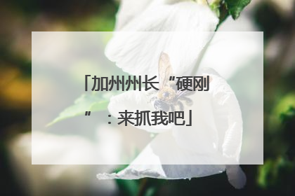加州州长“硬刚”：来抓我吧