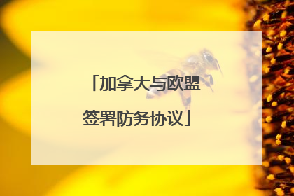 加拿大与欧盟签署防务协议