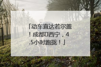 动车直达若尔盖！成都⇄西宁，4.5小时跑拢！