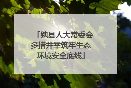 勉县人大常委会多措并举筑牢生态环境安全底线