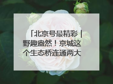 北京号最精彩｜野趣盎然！京城这个生态桥连通两大网红公园