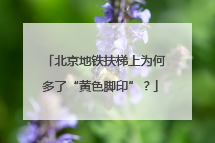 北京地铁扶梯上为何多了“黄色脚印”？