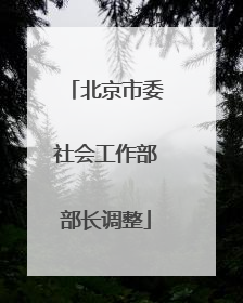 北京市委社会工作部部长调整