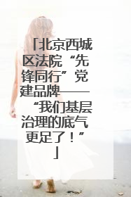 北京西城区法院“先锋同行”党建品牌——“我们基层治理的底气更足了！”