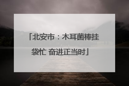 北安市：木耳菌棒挂袋忙 奋进正当时
