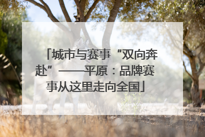 城市与赛事“双向奔赴”——平原：品牌赛事从这里走向全国