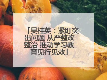 吴桂英：紧盯突出问题 从严整改整治 推动学习教育见行见效