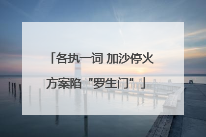 各执一词 加沙停火方案陷“罗生门”