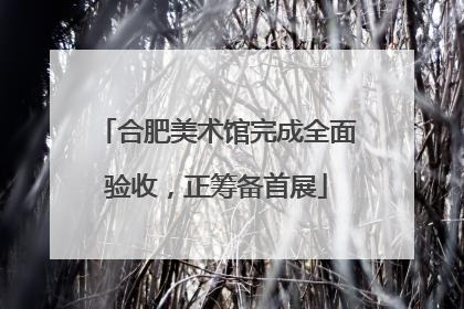 合肥美术馆完成全面验收，正筹备首展
