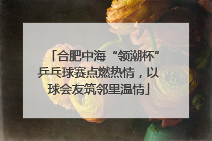 合肥中海“领潮杯”乒乓球赛点燃热情，以球会友筑邻里温情
