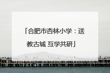 合肥市杏林小学：送教古城 互学共研