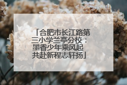 合肥市长江路第三小学兰亭分校：墨香少年乘风起 共赴新程志轩扬