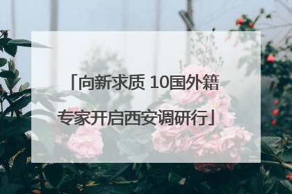 向新求质 10国外籍专家开启西安调研行