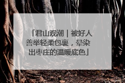 君山观潮｜被好人善举轻柔包裹，晕染出枣庄的温暖底色
