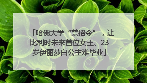 哈佛大学“禁招令”，让比利时未来首位女王、23岁伊丽莎白公主难毕业