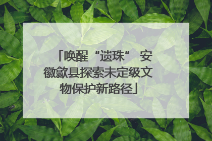 唤醒“遗珠” 安徽歙县探索未定级文物保护新路径