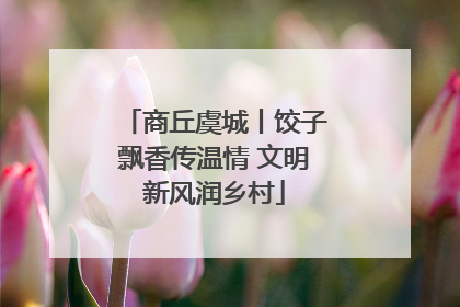 商丘虞城丨饺子飘香传温情 文明新风润乡村