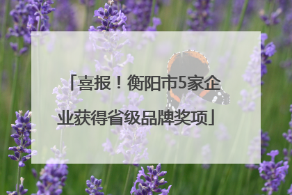喜报！衡阳市5家企业获得省级品牌奖项