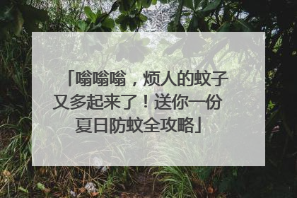 嗡嗡嗡，烦人的蚊子又多起来了！送你一份夏日防蚊全攻略