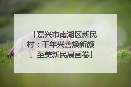 嘉兴市南湖区新民村：千年兴善焕新颜、至美新民展画卷