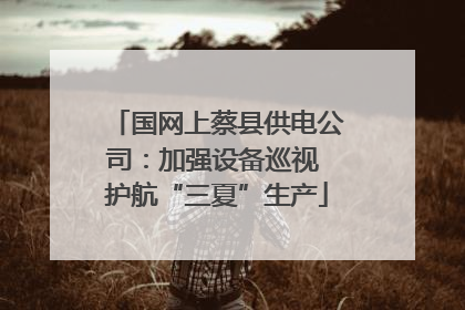 国网上蔡县供电公司：加强设备巡视 护航“三夏”生产