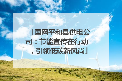 国网平和县供电公司：节能宣传在行动，引领低碳新风尚