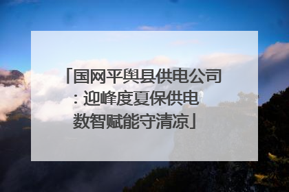 国网平舆县供电公司：迎峰度夏保供电  数智赋能守清凉