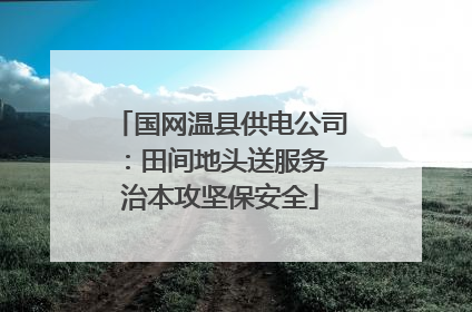 国网温县供电公司：田间地头送服务 治本攻坚保安全