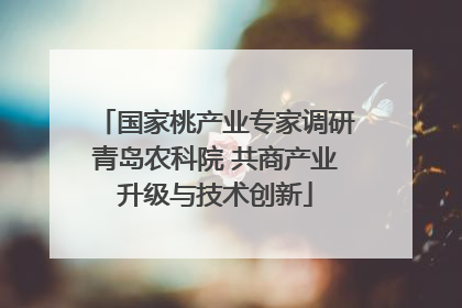 国家桃产业专家调研青岛农科院 共商产业升级与技术创新
