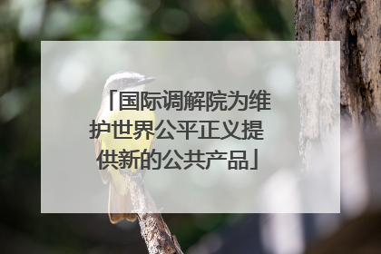 国际调解院为维护世界公平正义提供新的公共产品