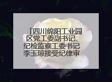 四川绵阳工业园区党工委副书记、纪检监察工委书记李玉琼接受纪律审查和监察调查
