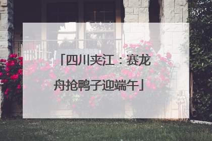 四川夹江：赛龙舟抢鸭子迎端午