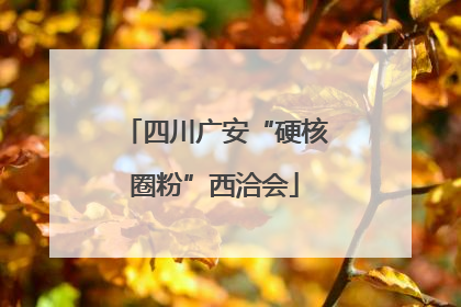 四川广安“硬核圈粉”西洽会