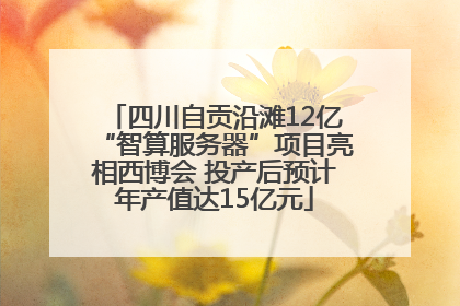 四川自贡沿滩12亿“智算服务器”项目亮相西博会 投产后预计年产值达15亿元