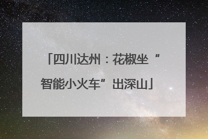 四川达州：花椒坐“智能小火车”出深山