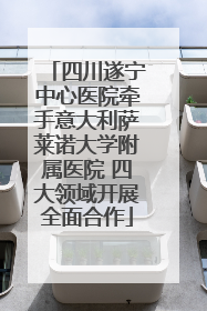 四川遂宁中心医院牵手意大利萨莱诺大学附属医院 四大领域开展全面合作